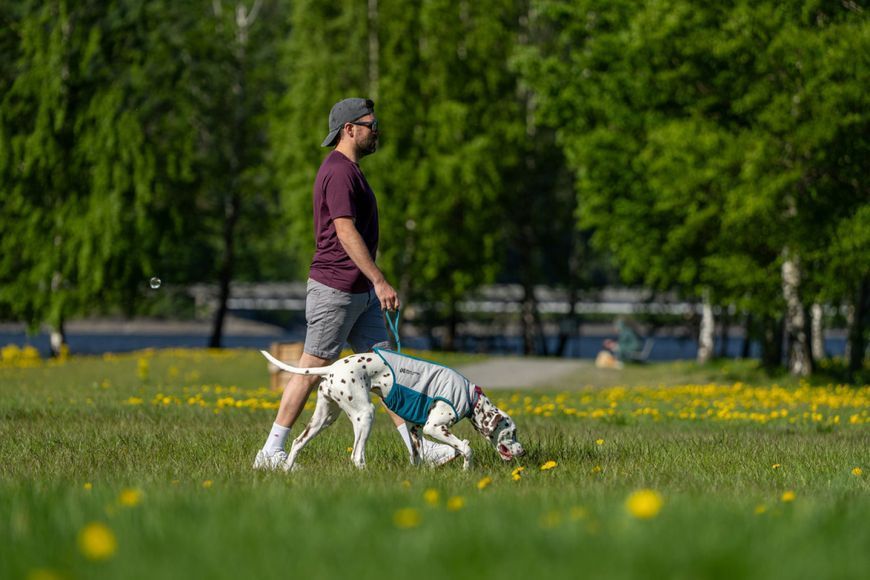 Охлаждающий жилет для собак Cooling pull-on Non-stop dogwear Серо-голубой 40 48597 фото