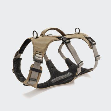 Y-подібна шлейка для собак Cloud7 Y-Safe-Harness AKTIV Сірий/Хаки M 46275 фото
