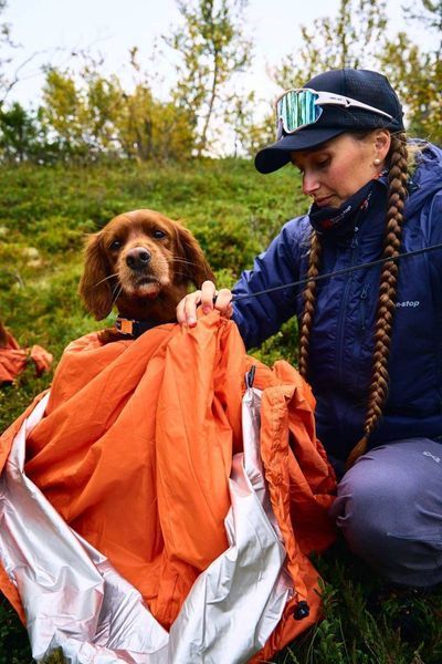 Спальний мішок для собак Bivvy bag Non-stop dogwear Помаранчевий S 40552 фото