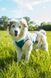 Охлаждающий жилет для собак Cooling pull-on Non-stop dogwear Серо-голубой 45 48598 фото 2