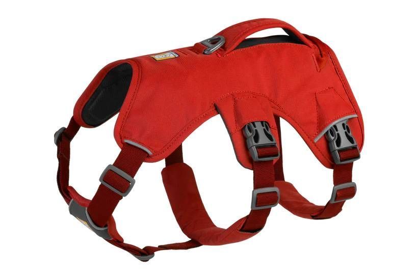 Підтримуюча шлейка для службових собак Ruffwear Web Master&trade; S 56-69 см Червоний 30874 фото