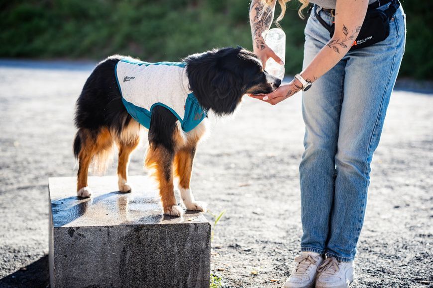 Охлаждающий жилет для собак Cooling pull-on Non-stop dogwear Серо-голубой 45 48598 фото