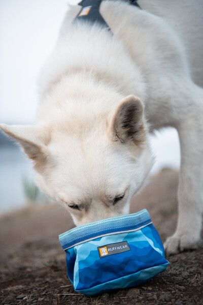 Складна миска для собак Ruffwear Quencher™ M Синьо-блакитний 30625 фото