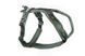 Шлея для собак Line harness 5.0 Non-stop dogwear Зеленый 2 40617 фото 1