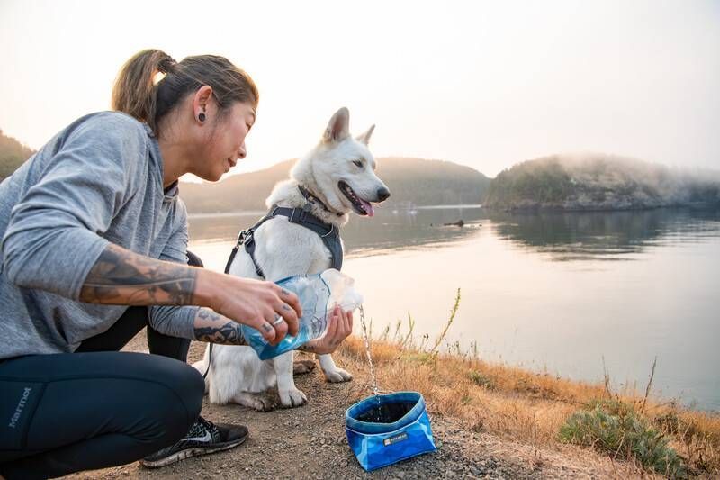 Складна миска для собак Ruffwear Quencher&trade; M Синьо-блакитний 30625 фото
