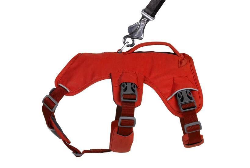 Підтримуюча шлейка для службових собак Ruffwear Web Master&trade; M 69-81 см Червоний 30875 фото