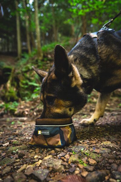 Складна миска для собак Ruffwear Quencher™ M Сіро-коричневий 30626 фото