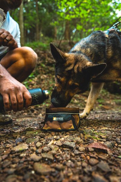 Складна миска для собак Ruffwear Quencher™ M Сіро-коричневий 30626 фото