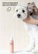 Веганская жидкость для очищения ушек собак Inoom Pet Ear Cleaner 100 мл 32752 фото 3