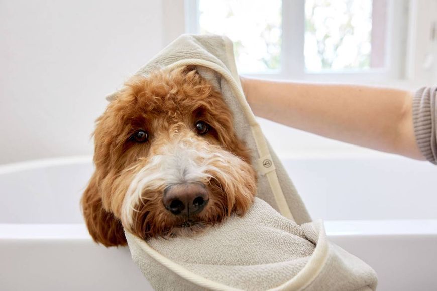 Рушник для собак Palopa Kosy Бежевий M-L 40139 фото