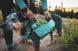 Складна миска для собак Ruffwear Quencher&trade; M Бірюзово-жовтогарячий 30627 фото 2