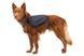 Шлейка-рюкзак для собаки Ruffwear Front Range&trade; XS Серый 30977 фото 4