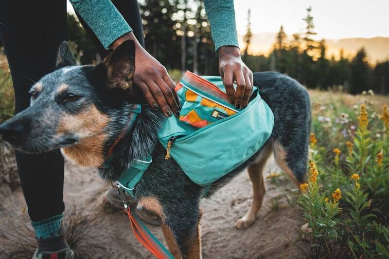 Складна миска для собак Ruffwear Quencher&trade; M Бірюзово-жовтогарячий 30627 фото