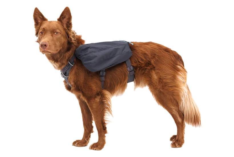 Шлейка-рюкзак для собаки Ruffwear Front Range&trade; XS Серый 30977 фото