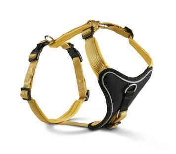Шлейка для собак смягченная Wolters Professional Comfort 2 40-45 см / 25 мм Желтый 30049 фото