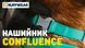 Водостійкий нашийник для собак Ruffwear Confluence™ 36-51 см Бірюзовий 30629 фото 9