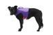Спасательный жилет для собак Ruffwear Float Coat&trade; Фиолетовый S 41935 фото 3