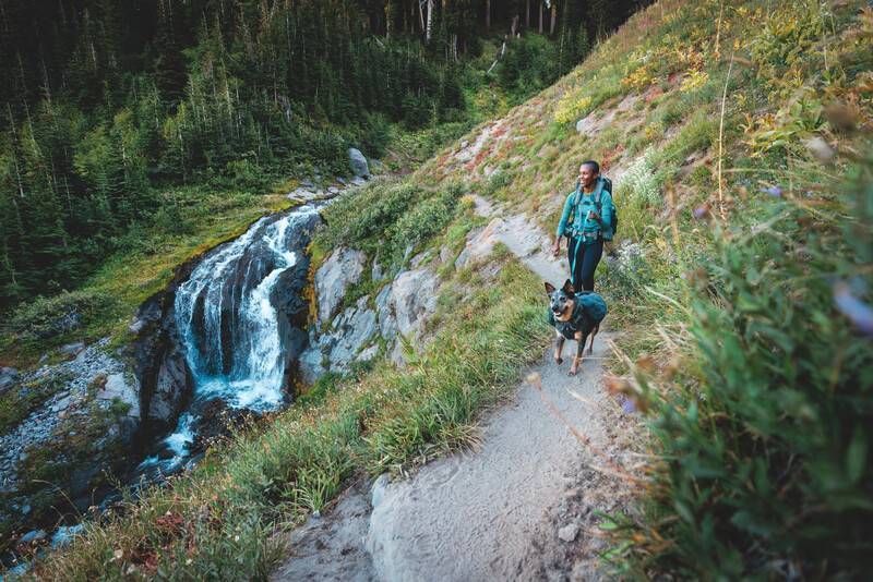 Шлейка-рюкзак для собаки Ruffwear Front Range&trade; M Серый 30979 фото