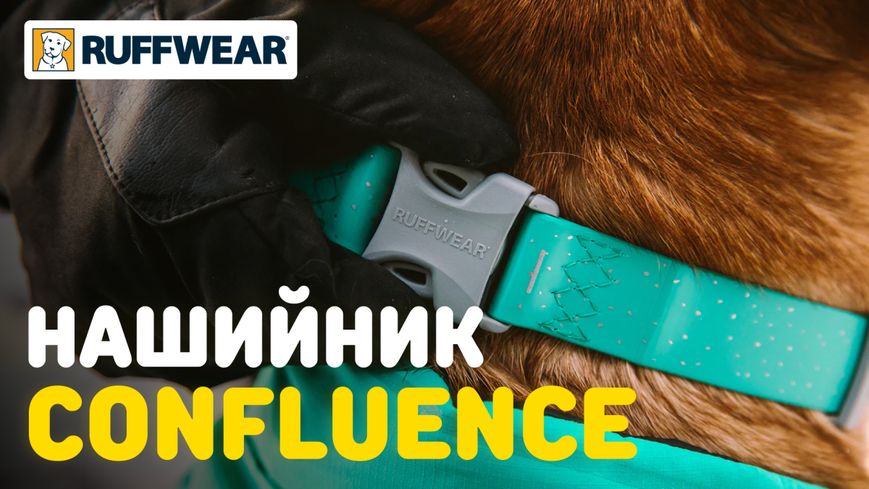 Водостойкий ошейник для собак Ruffwear Confluence™ 36-51 см Бирюзовый 30629 фото