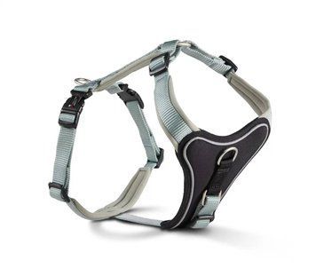 Шлейка для собак смягченная Wolters Professional Comfort 2 40-45 см / 25 мм Зеленый 30048 фото