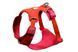 Шлея для собак Ruffwear Front Range&reg; Flex Harness L/XL Рожево-фіолетовий 47205 фото 2