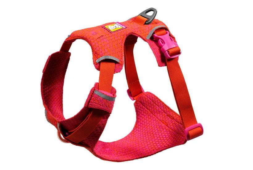 Шлея для собак Ruffwear Front Range&reg; Flex Harness L/XL Рожево-фіолетовий 47205 фото
