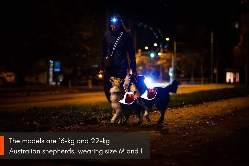 Світловідбивна попона Reflection blanket Non-stop dogwear Помаранчевий XL 40863 фото