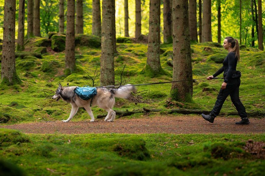 Шлейка-рюкзак для собак Trail quest dog backpack Nos-stop dogwear Голубой L 40531 фото