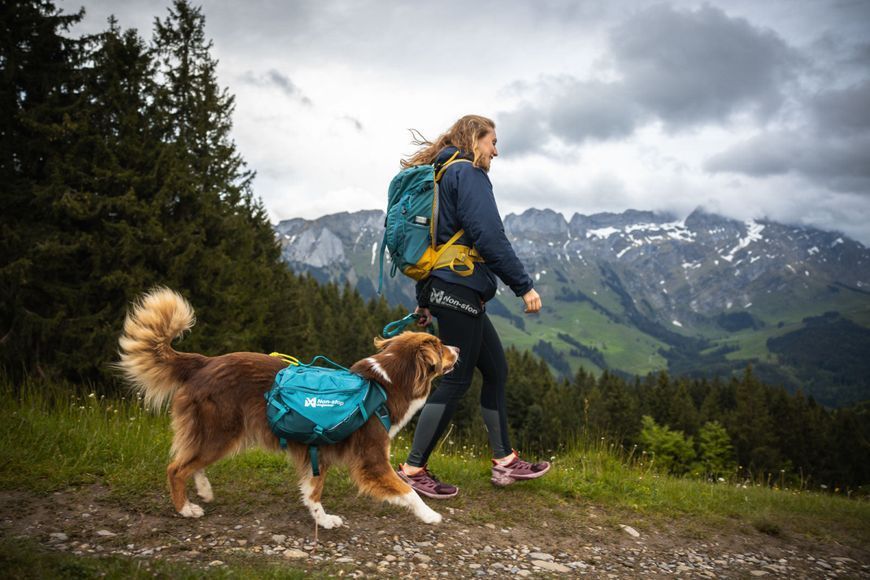 Шлейка-рюкзак для собак Trail quest dog backpack Nos-stop dogwear Голубой L 40531 фото