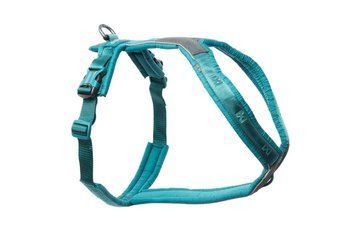 Шлейка для собак Line harness 5.0 Non-stop dogwear Бірюзовий 6 40637 фото