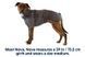 Теплая куртка для собак Ruffwear Furness&trade; XXS Серый 30395 фото 2