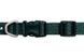 Нашийник для собак Ruffwear Front Range&trade; Flex Collar 51-66 см Темно-бірюзовий 47170 фото 2