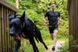 Повідець для собак Bungee leash Non-stop dogwear Чорний/Помаранчевий 2 м/23 мм 41425 фото 5