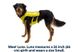 Жилет-шлея для бігу Ruffwear Trail Runner™ L/XL Зелений 30995 фото 5