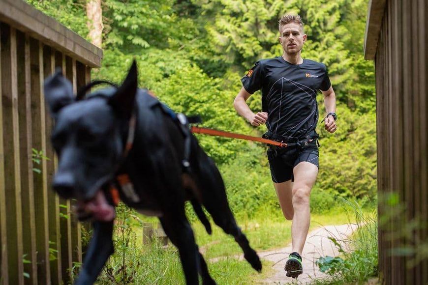 Повідець для собак Bungee leash Non-stop dogwear Чорний/Помаранчевий 2 м/23 мм 41425 фото
