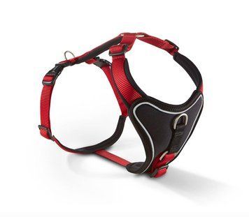 Шлейка для собак пом'якшена Wolters Professional Comfort 2 40-45 см / 25 мм Червоний 28277 фото