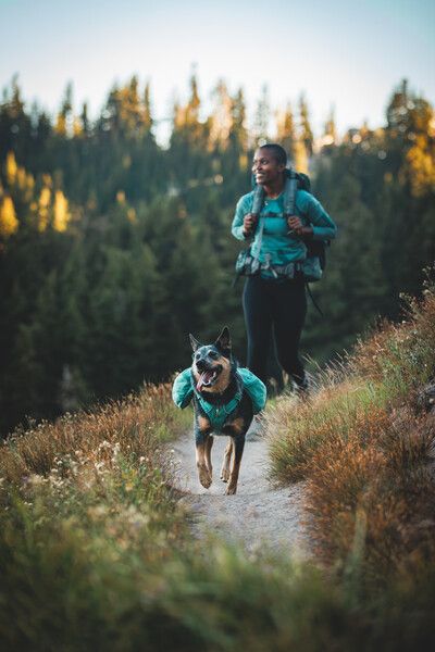 Шлейка-рюкзак для собак Ruffwear Front Range™ XS Зелений 30981 фото