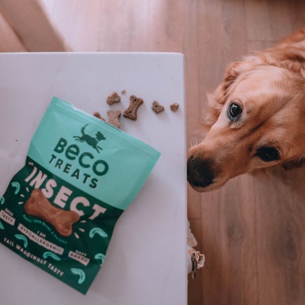 Гипоаллергенное печенье для собак Beco Pets Насекомые с яблоком и семенами чиа 70 г 31371 фото