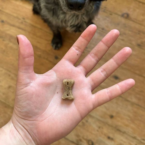 Гіпоалергенне печиво для собак Beco Pets Комаха з яблуком і насінням чіа 70 г 31371 фото