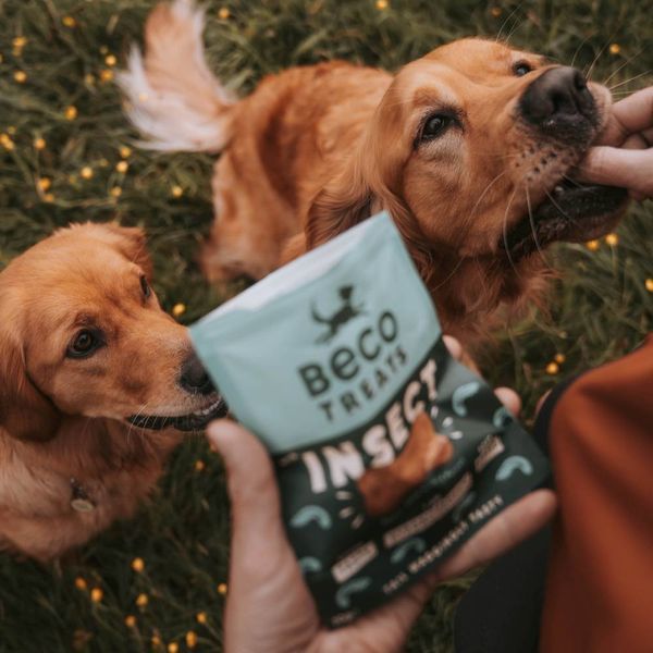 Гіпоалергенне печиво для собак Beco Pets Комаха з яблуком і насінням чіа 70 г 31371 фото