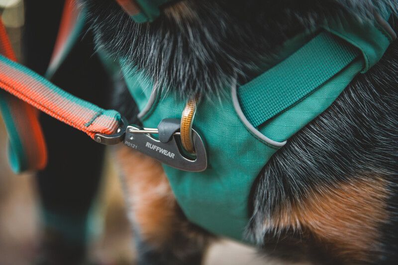 Шлейка-рюкзак для собак Ruffwear Front Range™ XS Зелений 30981 фото