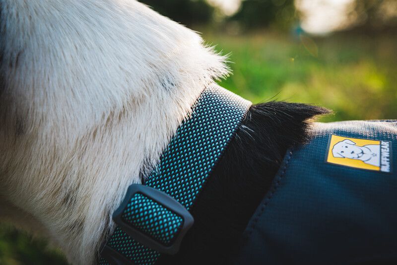 Полегшений нашийник для собак Ruffwear Hi & Light™ 51-66 см Сірий 30681 фото