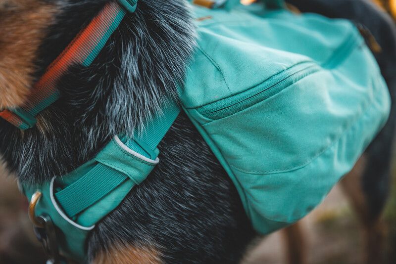 Шлейка-рюкзак для собак Ruffwear Front Range™ XS Зелений 30981 фото