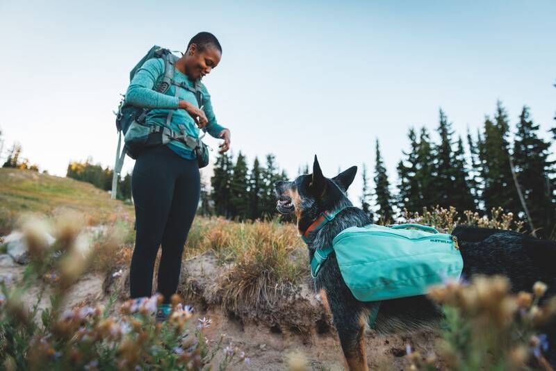 Шлейка-рюкзак для собаки Ruffwear Front Range&trade; XS Зеленый 30981 фото