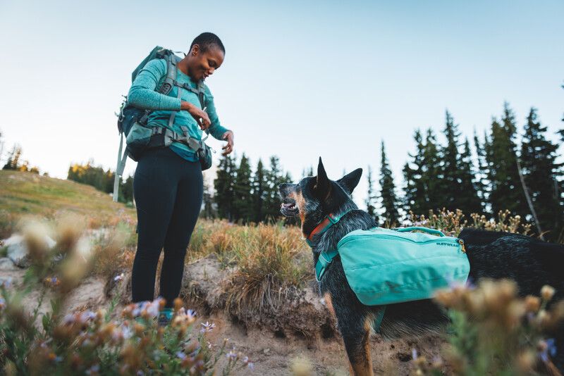 Шлейка-рюкзак для собак Ruffwear Front Range™ XS Зелений 30981 фото