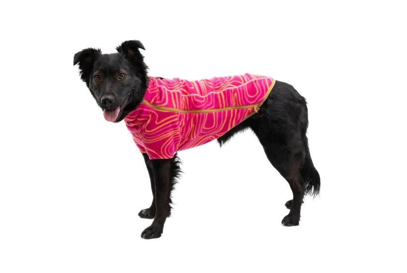 Флісова куртка для собак Ruffwear Climate Changer&trade; L Малиновий 30381 фото