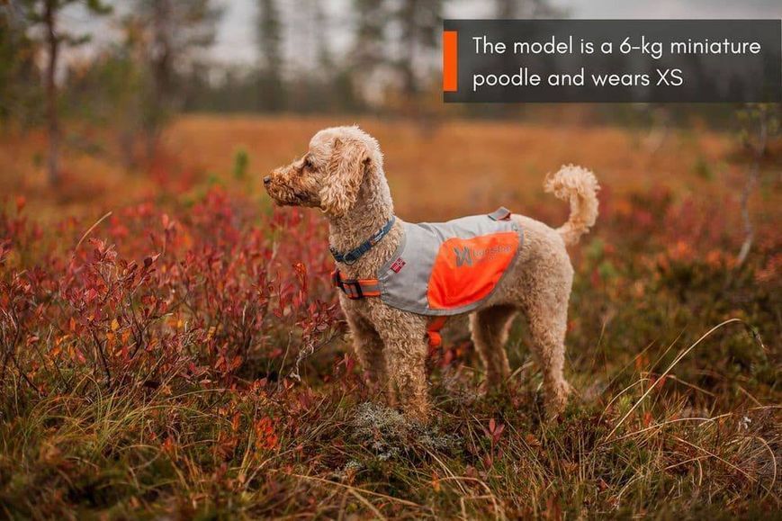 Світловідбивна попона Reflection blanket Non-stop dogwear Помаранчевий 2XL 40864 фото