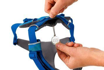 Повсякденна шлейка для собак Ruffwear Front Range&reg; XS 43-56 см Синьо-блакитний 30782 фото