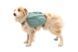 Шлейка-рюкзак для собаки Ruffwear Front Range&trade; S Зеленый 30982 фото 6