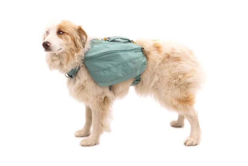 Шлейка-рюкзак для собаки Ruffwear Front Range&trade; S Зеленый 30982 фото